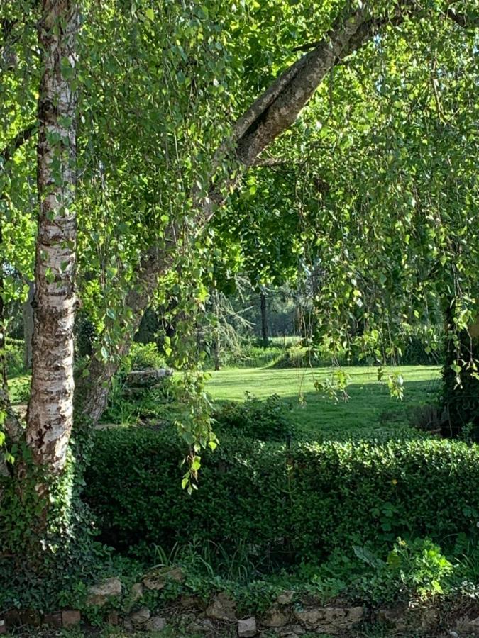 Moulin De Champrond -Montmirail -Sarthe Bed & Breakfast Ngoại thất bức ảnh