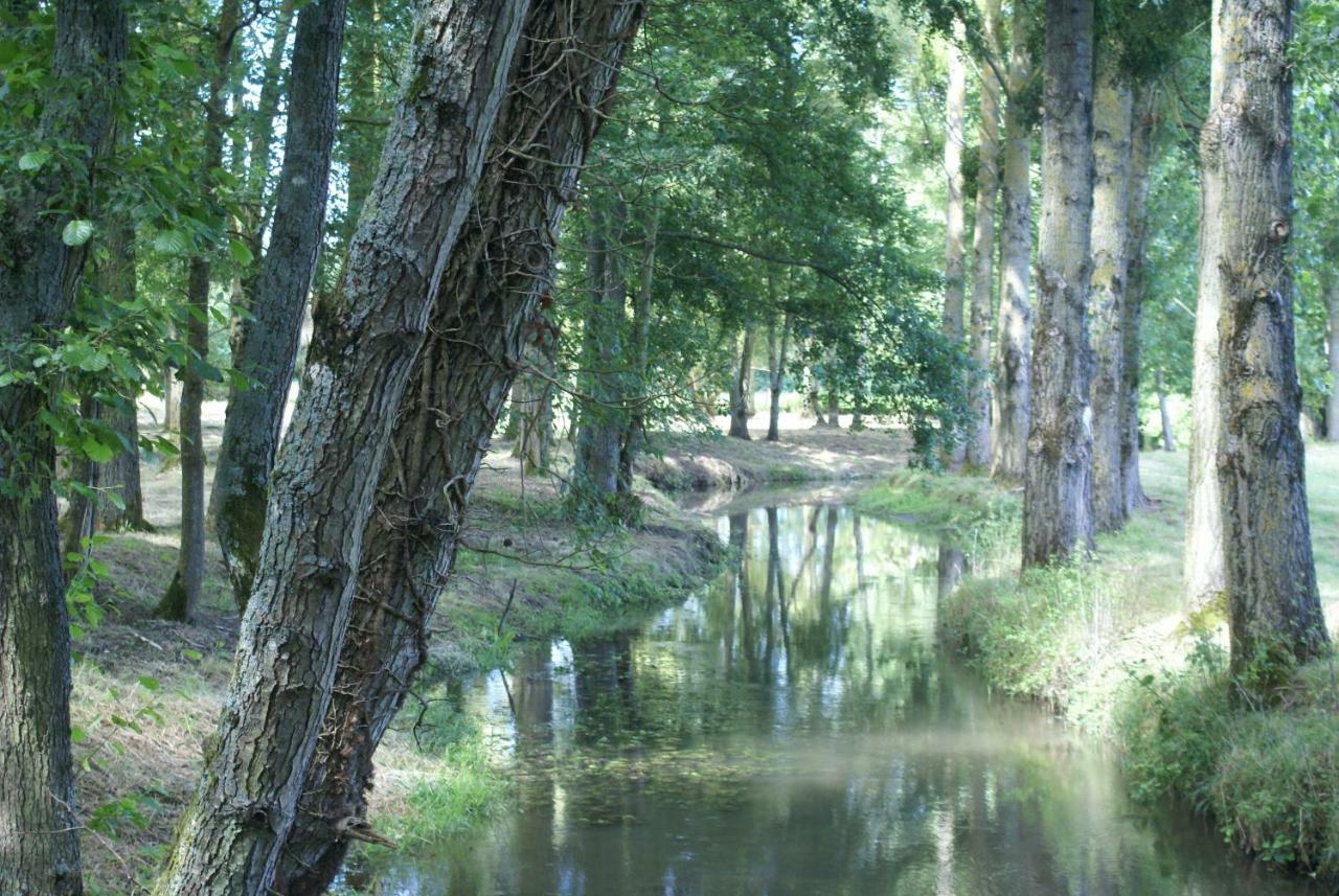 Moulin De Champrond -Montmirail -Sarthe Bed & Breakfast Ngoại thất bức ảnh