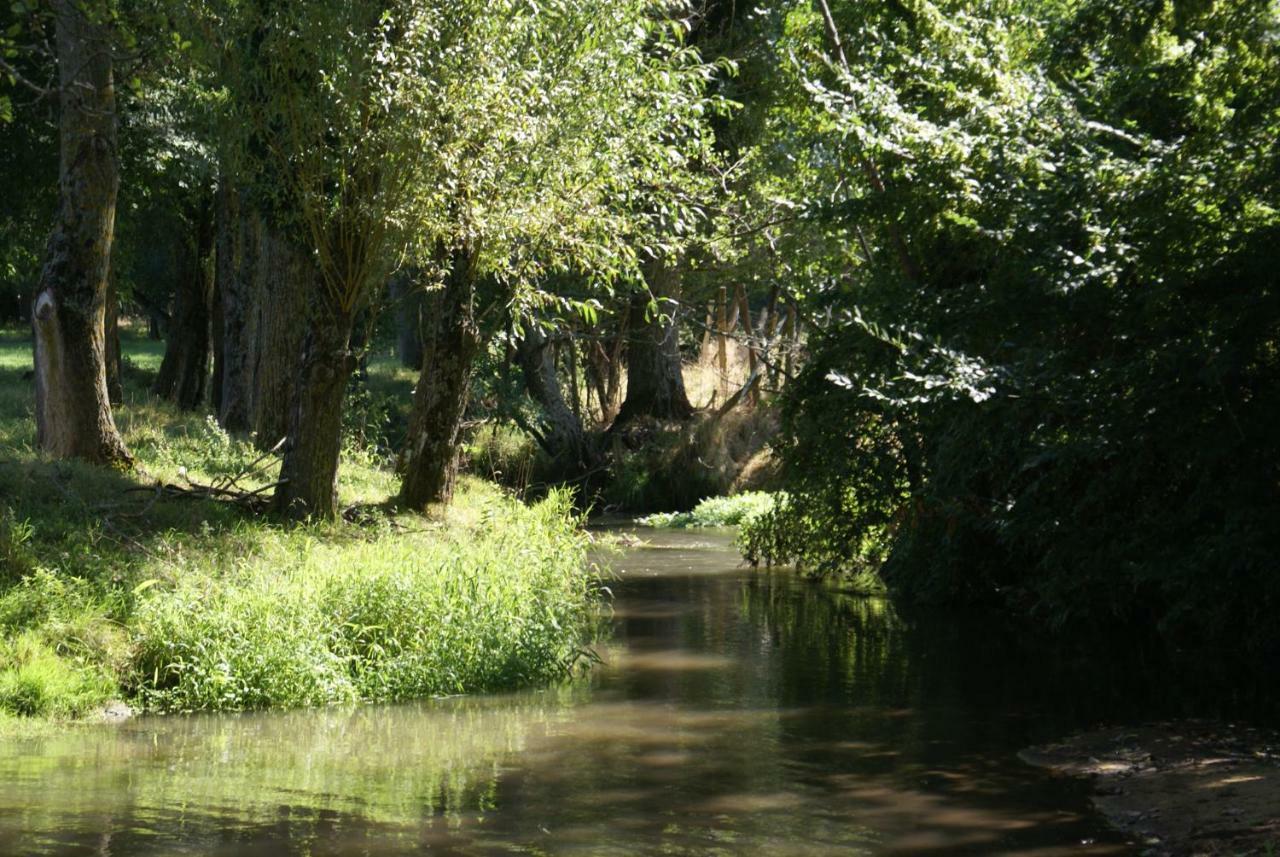 Moulin De Champrond -Montmirail -Sarthe Bed & Breakfast Ngoại thất bức ảnh