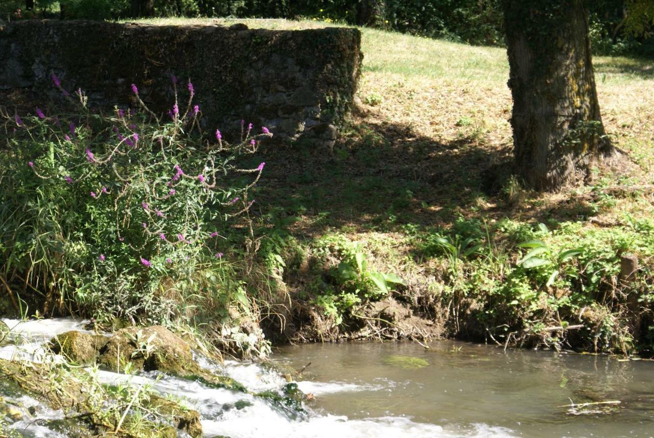 Moulin De Champrond -Montmirail -Sarthe Bed & Breakfast Ngoại thất bức ảnh